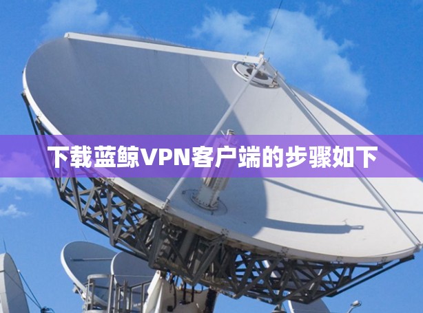 下载蓝鲸VPN客户端的步骤如下
