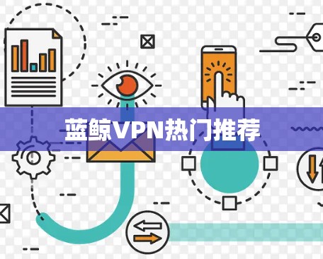 蓝鲸VPN热门推荐