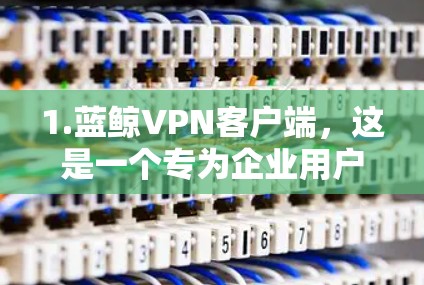1.蓝鲸VPN客户端，这是一个专为企业用户设计的VPN客户端，支持多平台安装（Windows、Mac、iOS、Android）提供高效的网络连接体验