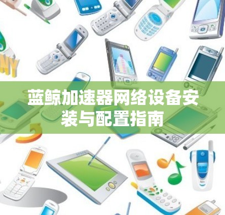 蓝鲸加速器网络设备安装与配置指南