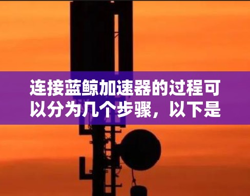 连接蓝鲸加速器的过程可以分为几个步骤，以下是详细的步骤指南