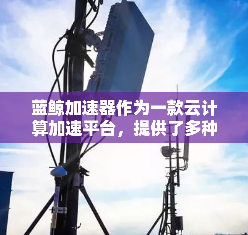 蓝鲸加速器作为一款云计算加速平台，提供了多种工具和功能来优化应用性能。以下是一些在蓝鲸加速器中比较热门的工具和功能