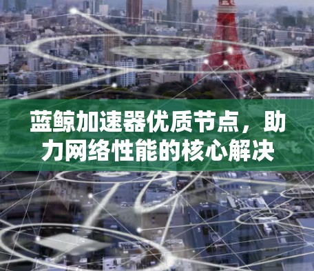 蓝鲸加速器优质节点，助力网络性能的核心解决方案