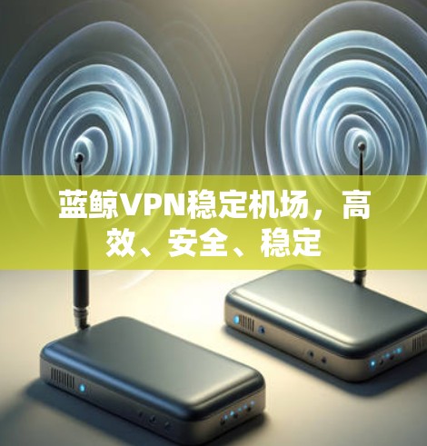蓝鲸VPN稳定机场，高效、安全、稳定