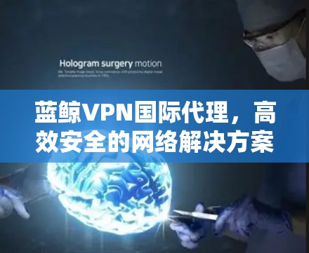 蓝鲸VPN国际代理，高效安全的网络解决方案