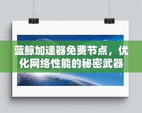 蓝鲸加速器免费节点，优化网络性能的秘密武器