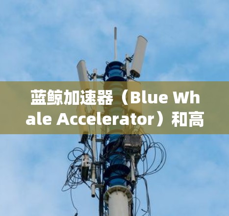 蓝鲸加速器（Blue Whale Accelerator）和高速机场（High-Speed Airport）是两个不同的概念，分别属于不同的领域。以下是对这两个概念的详细解释