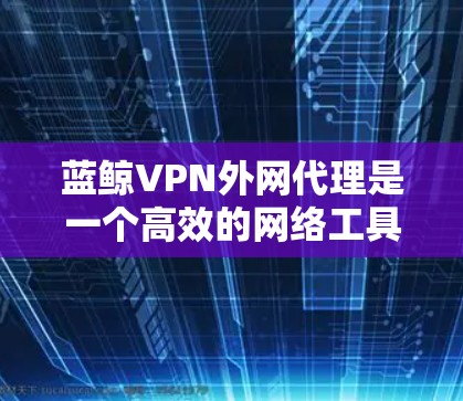 蓝鲸VPN外网代理是一个高效的网络工具，旨在帮助用户加速访问外部资源，适用于需要稳定和安全连接的场景。以下是对蓝鲸VPN外网代理的详细分析和总结