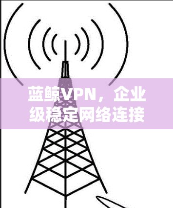 蓝鲸VPN，企业级稳定网络连接解决方案