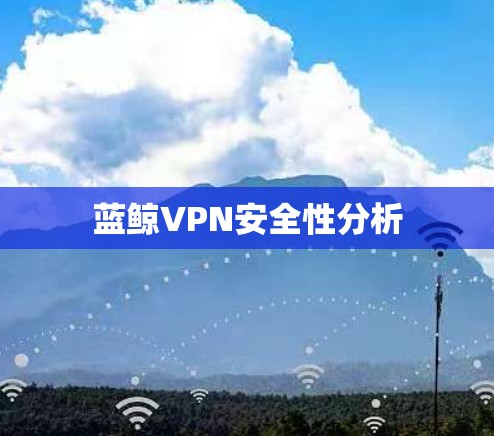 蓝鲸VPN安全性分析