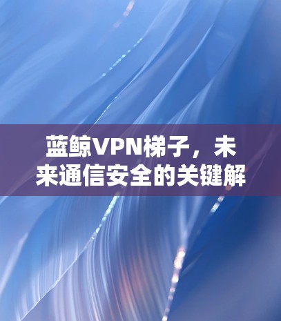 蓝鲸VPN梯子，未来通信安全的关键解决方案
