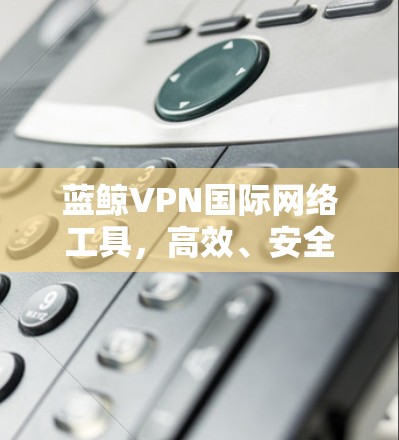 蓝鲸VPN国际网络工具,高效、安全、稳定