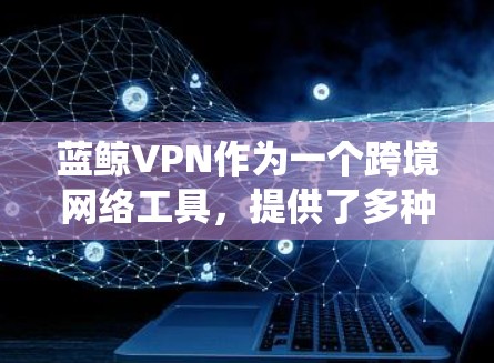 蓝鲸VPN作为一个跨境网络工具,提供了多种功能和服务,主要用于保护用户隐私、绕过网络限制和加强网络安全。以下是对蓝鲸VPN的详细分析